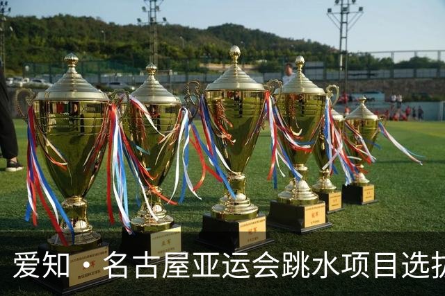 爱知·名古屋亚运会跳水项目选拔赛收官